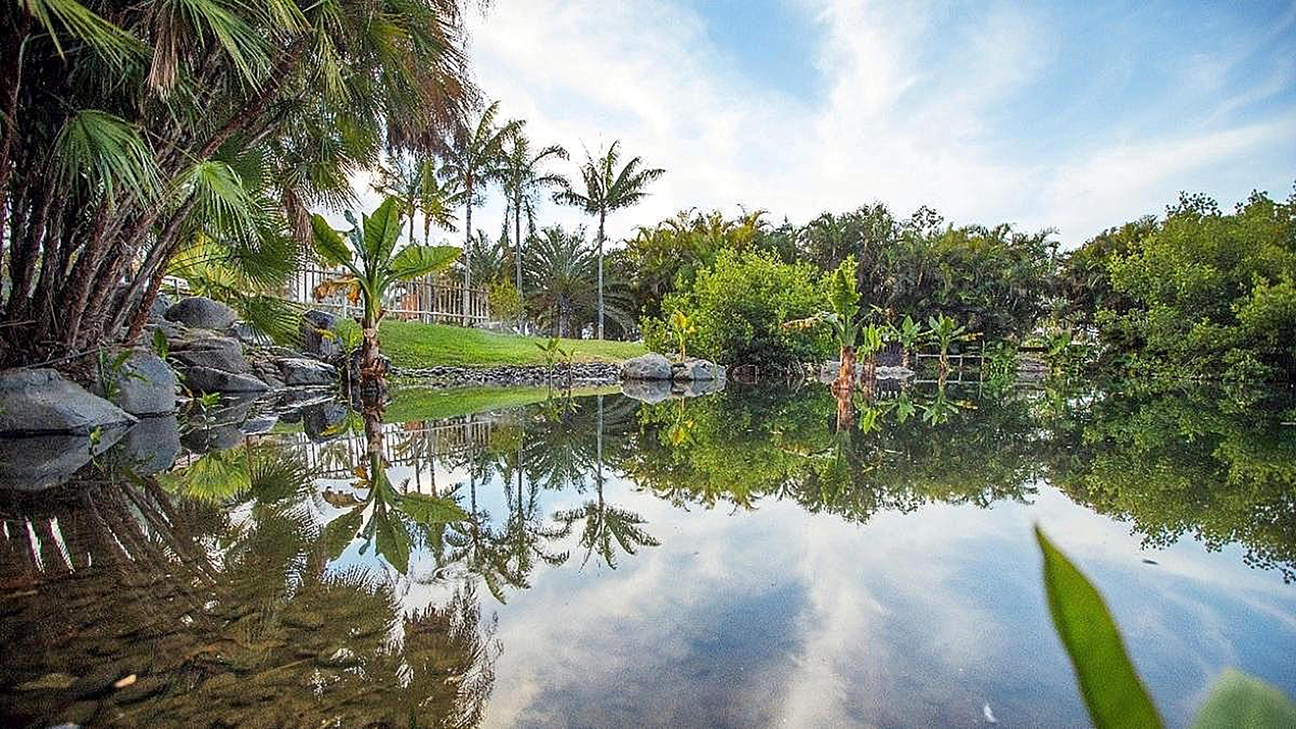סנטה קרוז דה טנריף Hotel Adonis Plaza מראה חיצוני תמונה