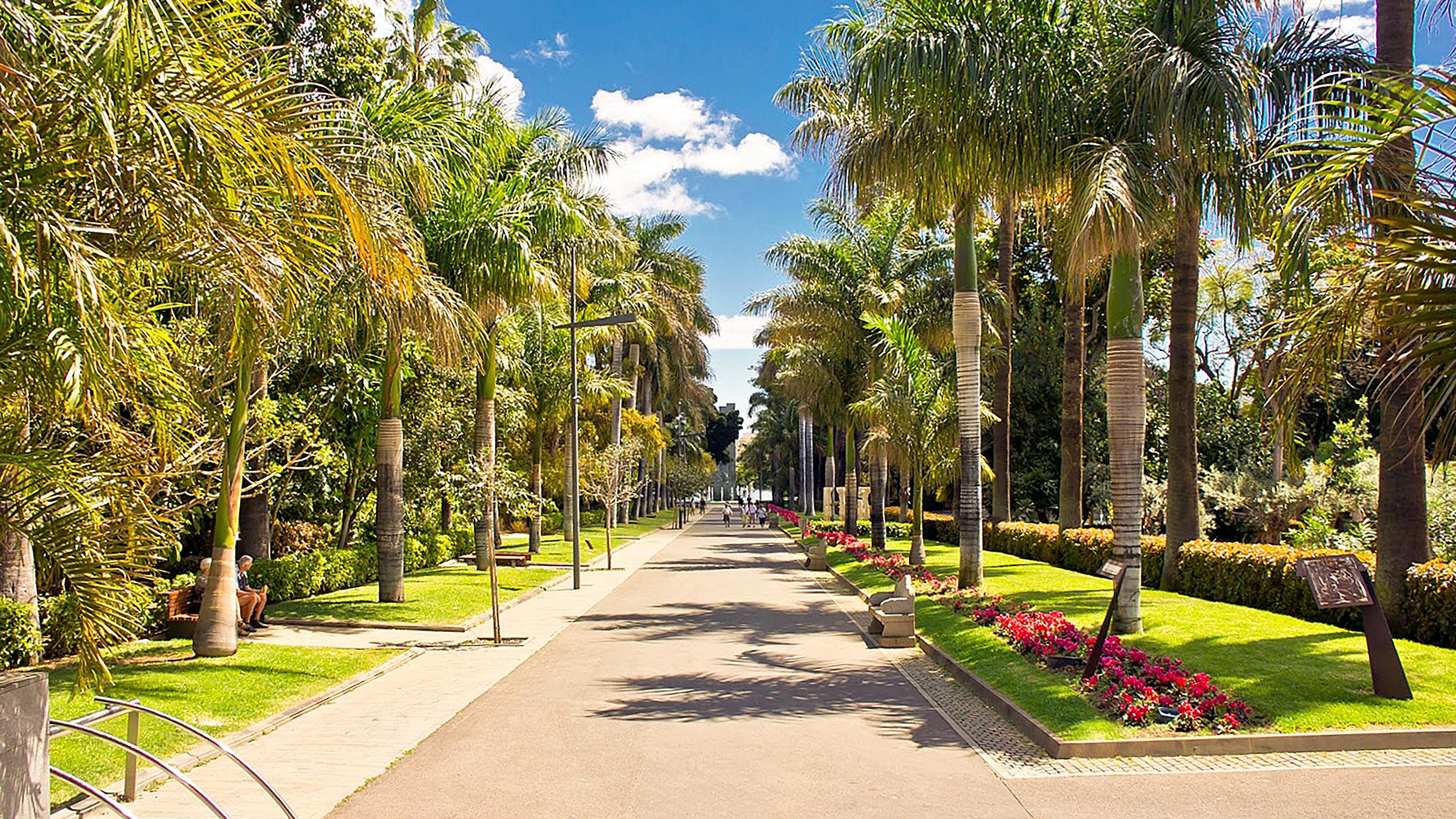 סנטה קרוז דה טנריף Hotel Adonis Plaza מראה חיצוני תמונה
